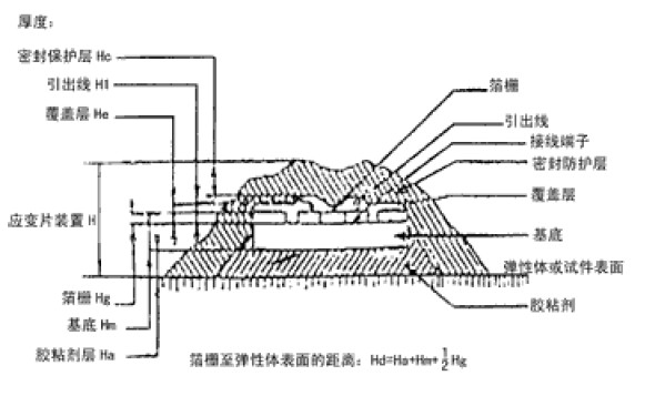 典型的应变片装置的剖面图