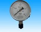 氨压力表