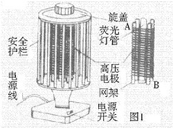 图1 电子灭蚊灯的结构图