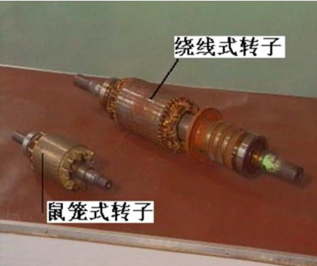三相异步电动机的转子