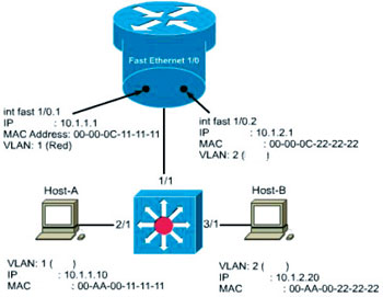 多层交换机的操作
