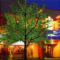 led树灯